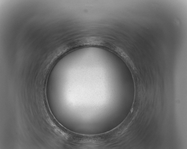 X0000081450625200701191714