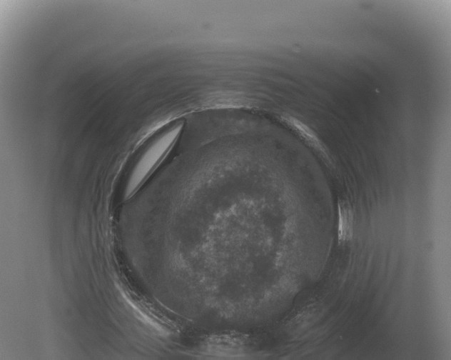 X0000081450627200701191715