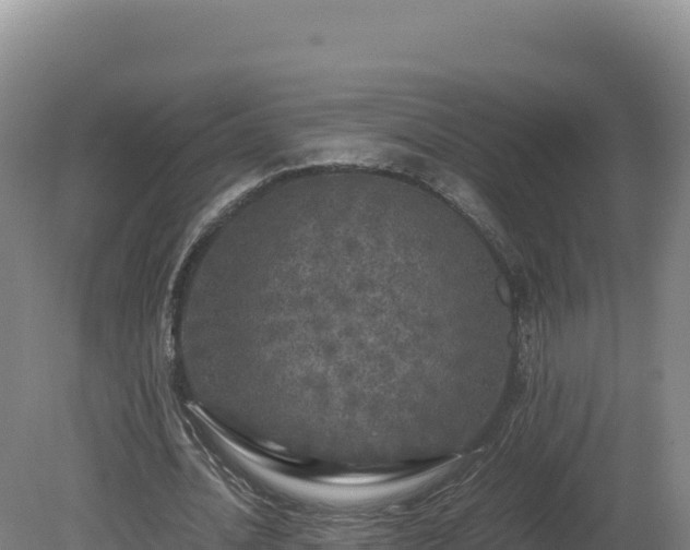 X0000081450628200701191715