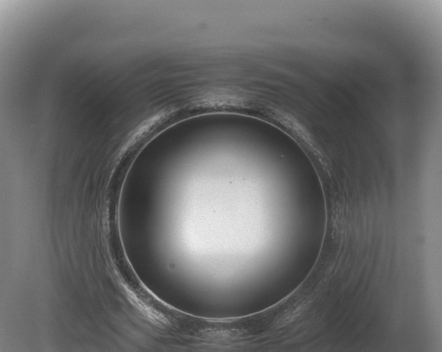 X0000081450629200701191715