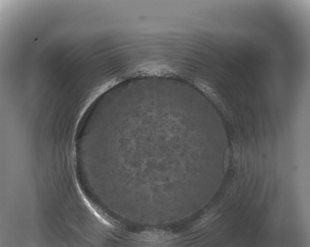 X0000081450630200701191715