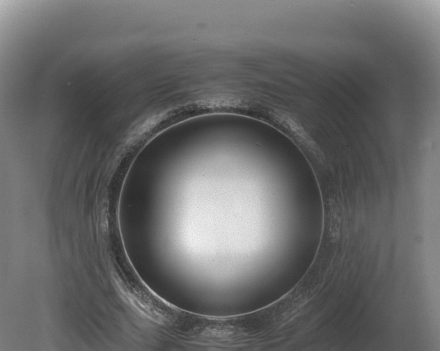 X0000081450631200701191715