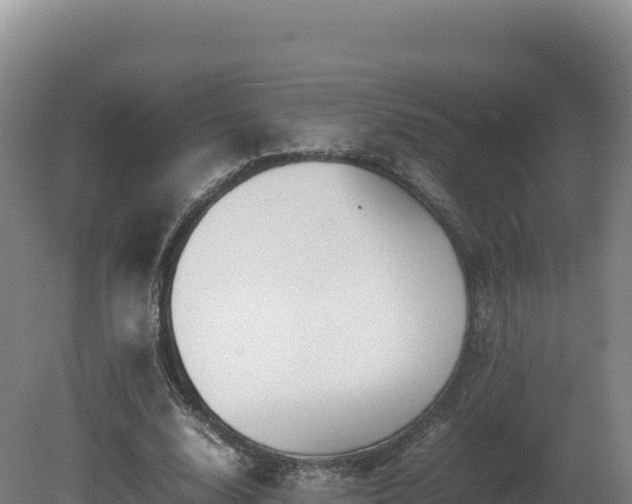 X0000081450632200701191715