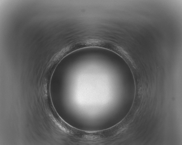 X0000081450633200701191715