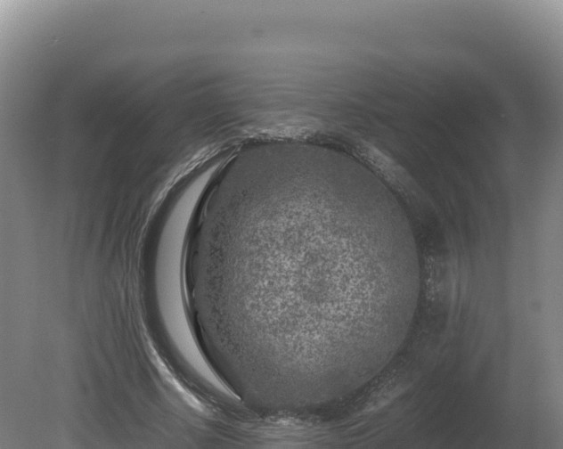 X0000081450634200701191715