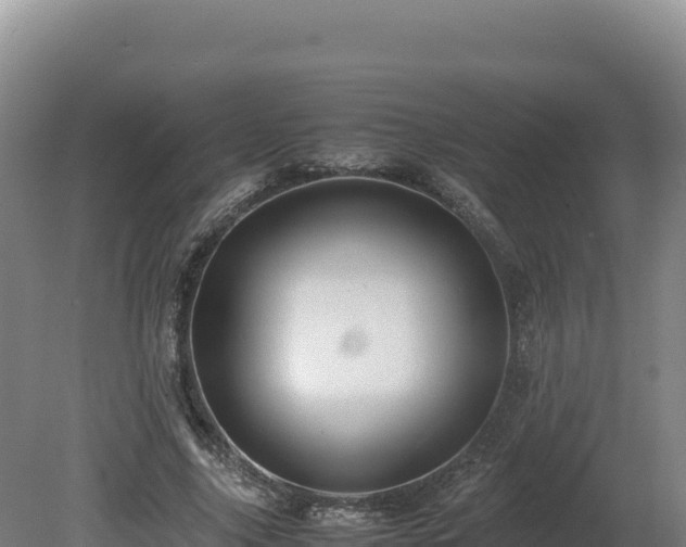 X0000081450635200701191715