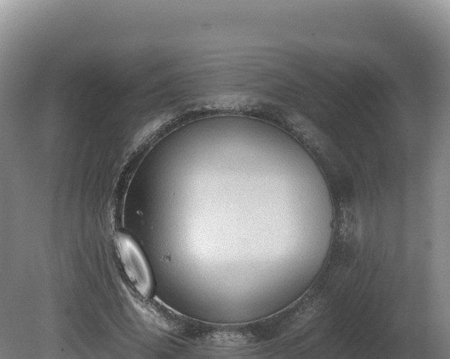 X0000081450636200701191715