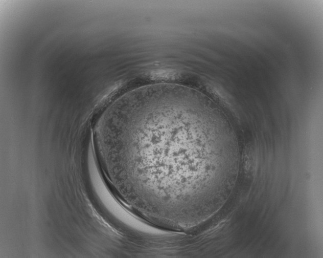 X0000081450637200701191715