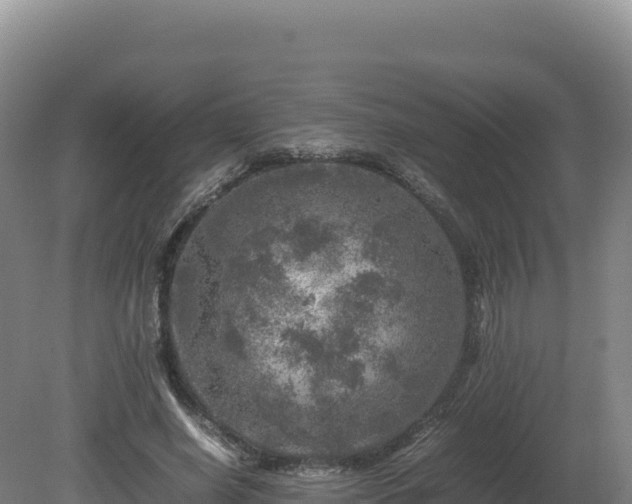 X0000081450638200701191715