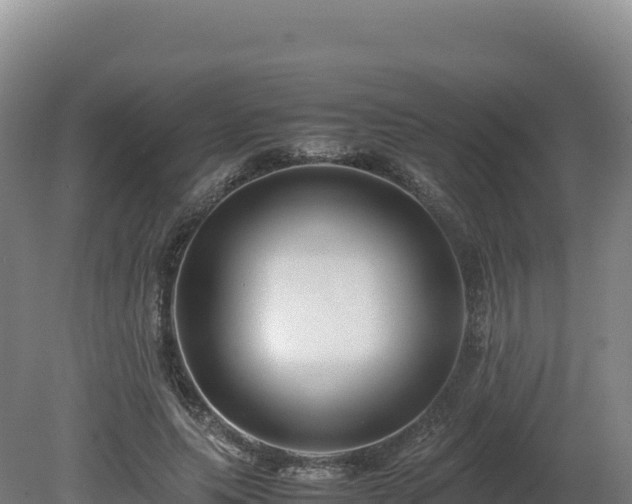 X0000081450639200701191715