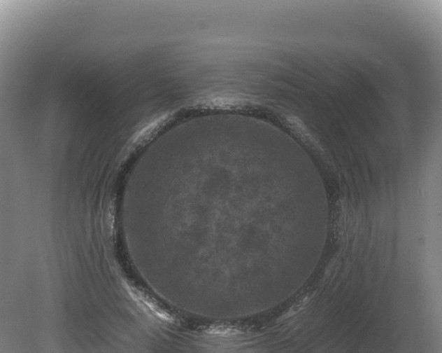 X0000081450640200701191715