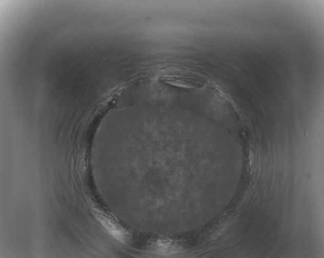 X0000081450641200701191715