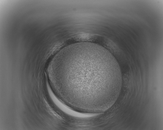 X0000081450642200701191715