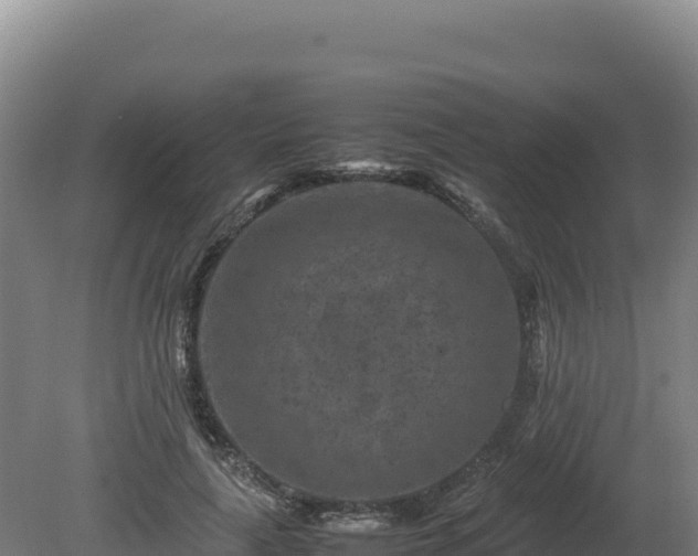 X0000081450643200701191715