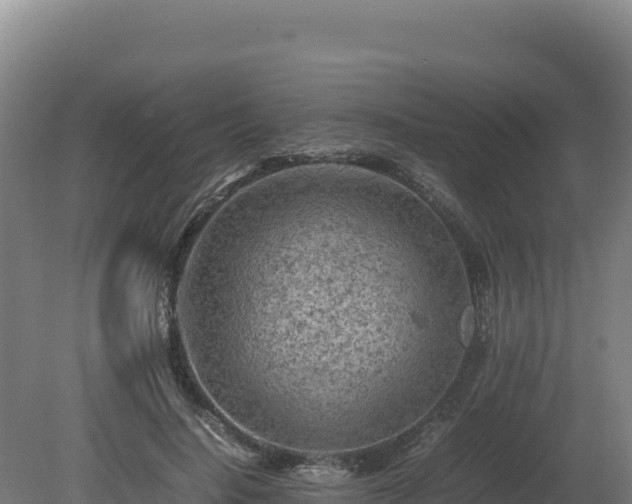 X0000081450644200701191715