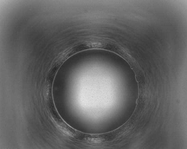 X0000081450645200701191715