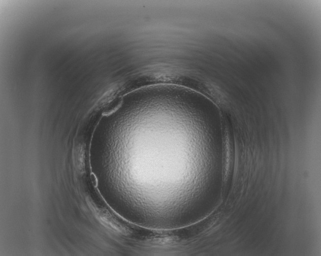 X0000081450646200701191715