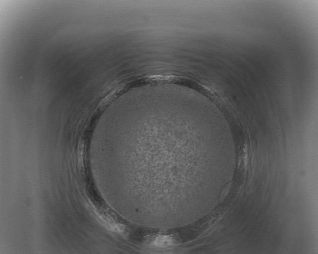 X0000081450647200701191715