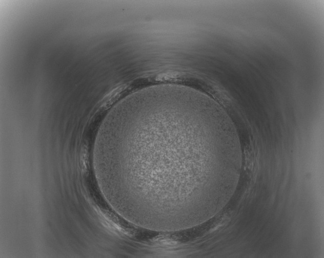 X0000081450648200701191715