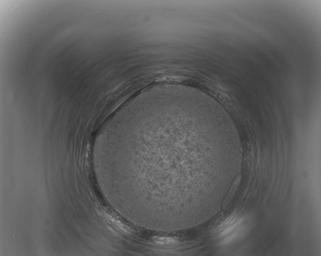 X0000081450649200701191715