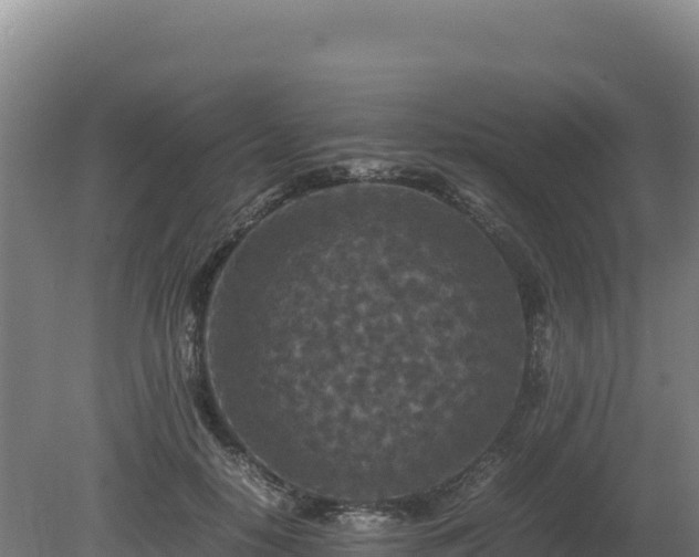 X0000081450650200701191715