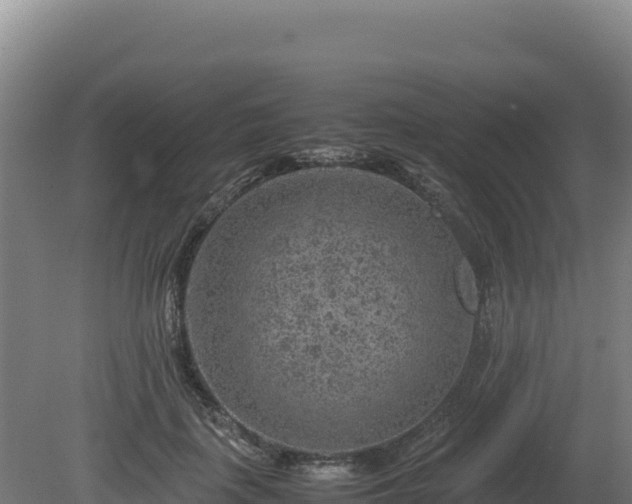 X0000081450651200701191715