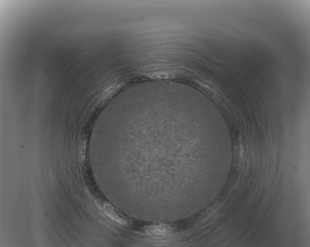 X0000081450652200701191715