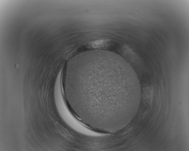 X0000081450653200701191715