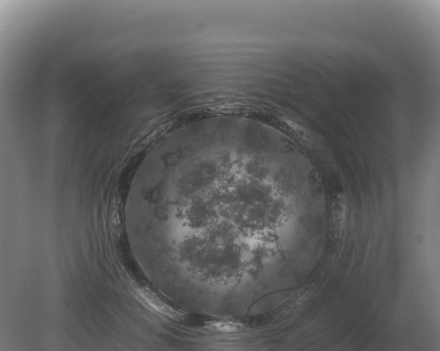 X0000081450654200701191715