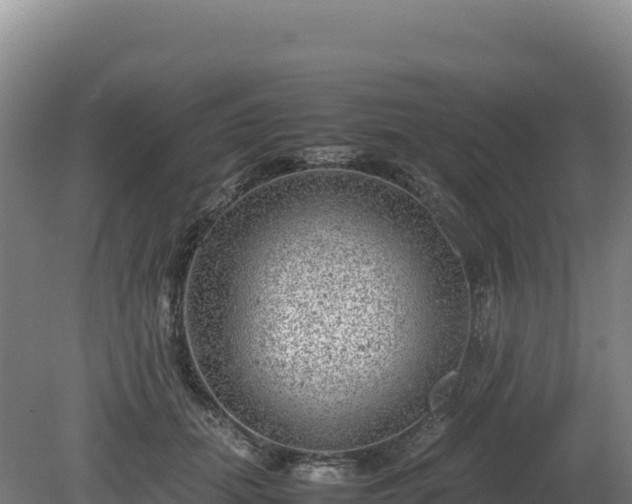 X0000081450655200701191715