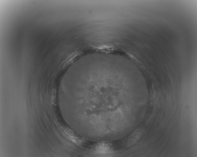 X0000081450656200701191715