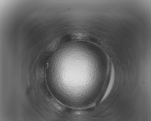 X0000081450657200701191715