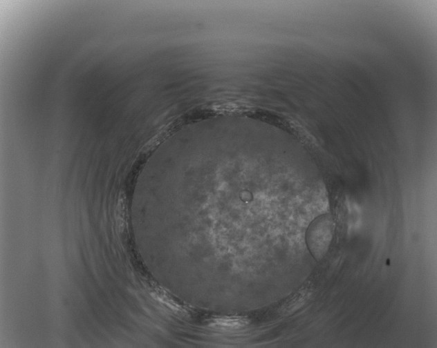 X0000081450659200701191715