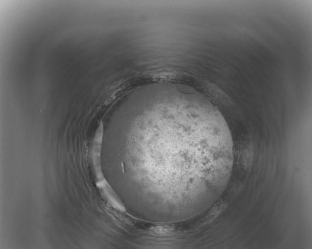 X0000081450660200701191715