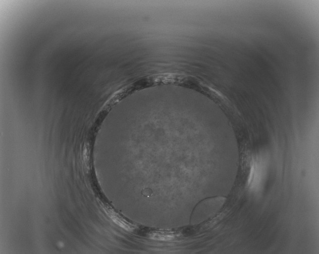 X0000081450661200701191715