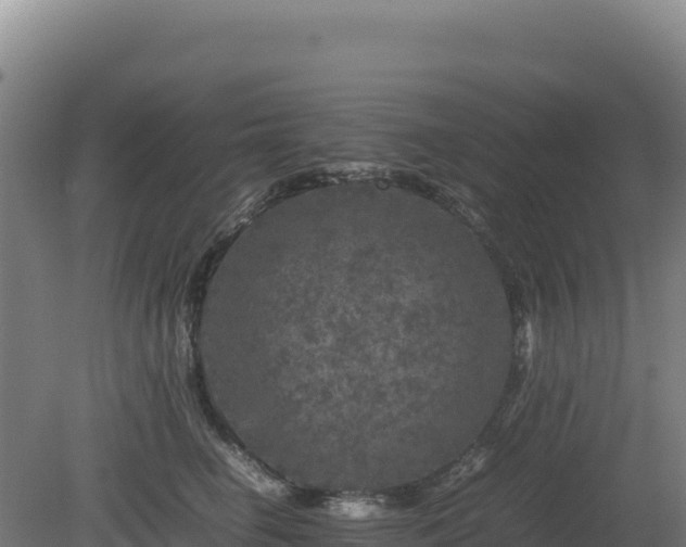 X0000081450662200701191715