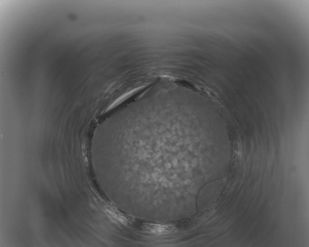 X0000081450663200701191715