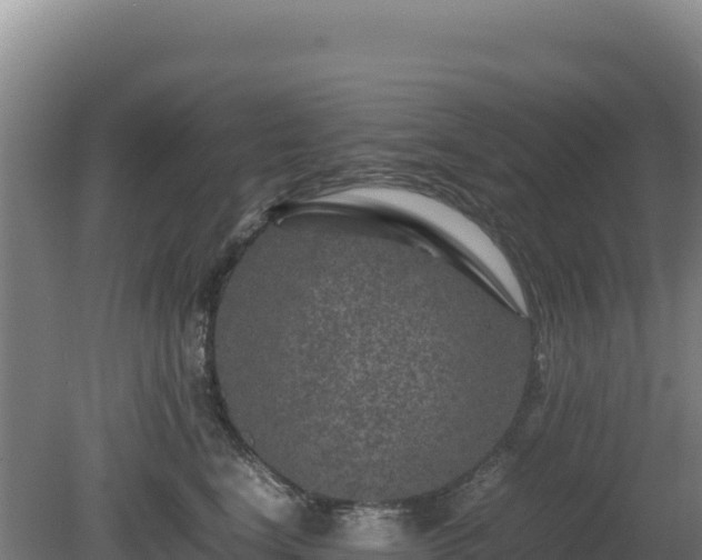 X0000081450664200701191715