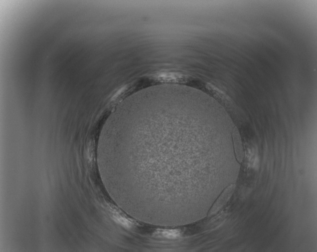 X0000081450665200701191715