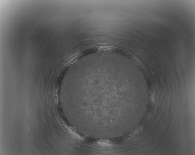 X0000081450666200701191715