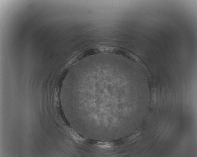 X0000081450667200701191715