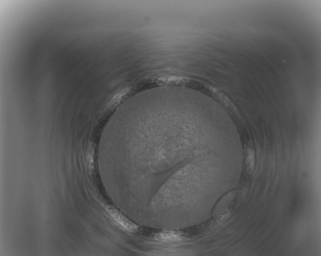 X0000081450668200701191715