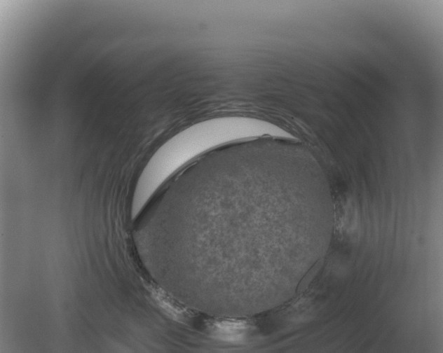 X0000081450669200701191715