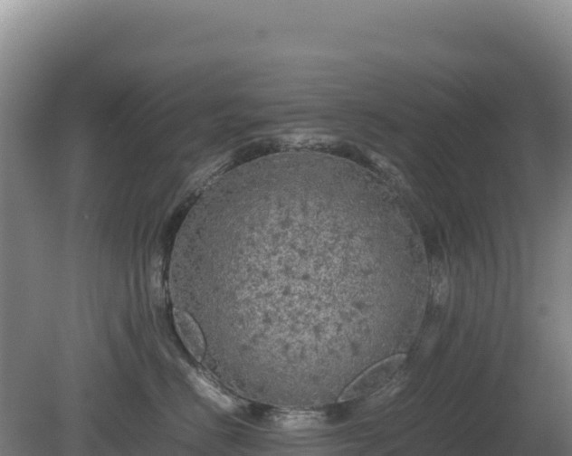 X0000081450670200701191715