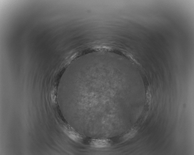 X0000081450671200701191715