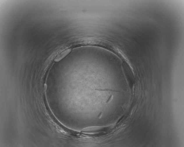 X0000081450673200701191714