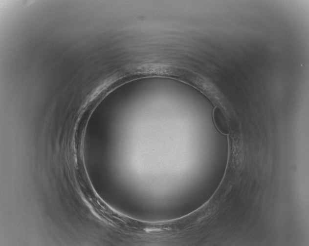 X0000081450674200701191714