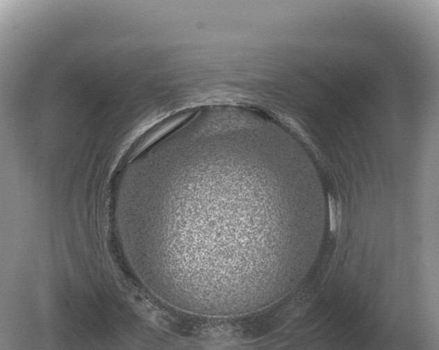 X0000081450675200701191714