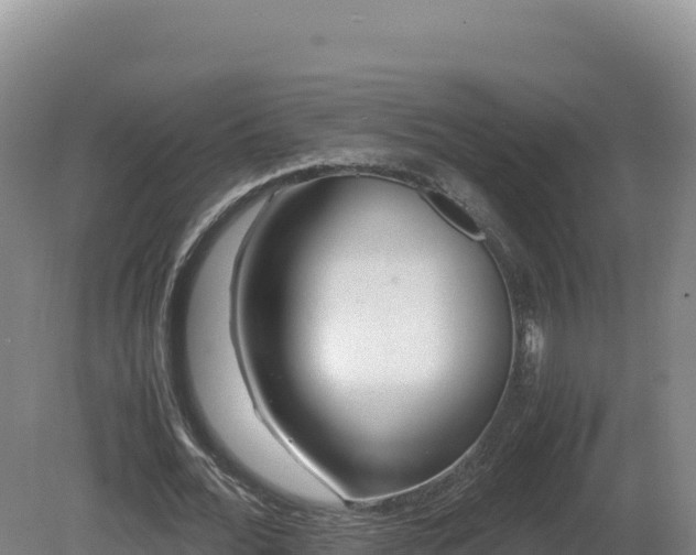 X0000081450676200701191714