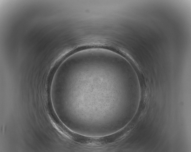 X0000081450677200701191714